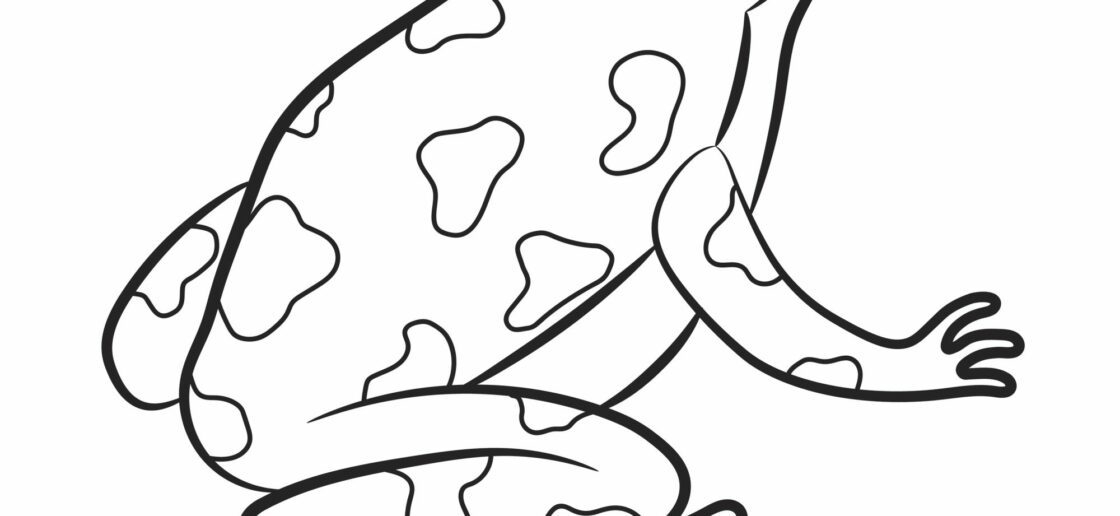 Coloriage grenouille à imprimer
