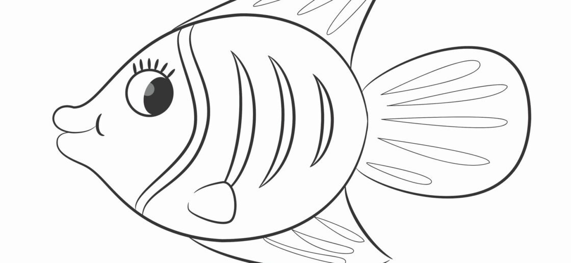 Redonnez ses couleurs à ce joli poisson
