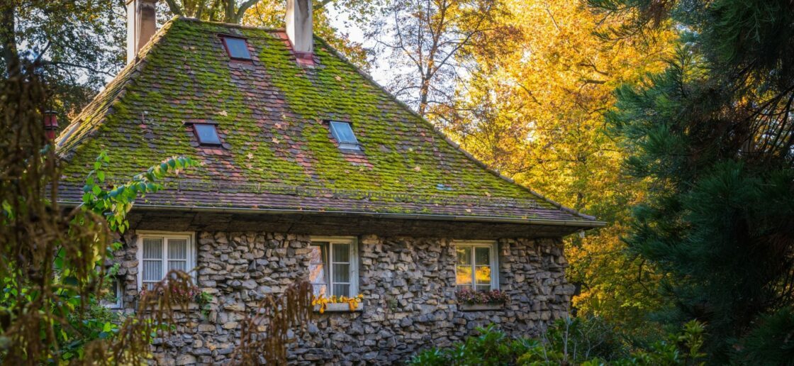 Une famille pauvre habite à l’orée de la forêt
