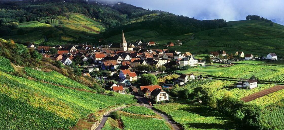 Une randonnée entre vignes et villages d’Alsace
