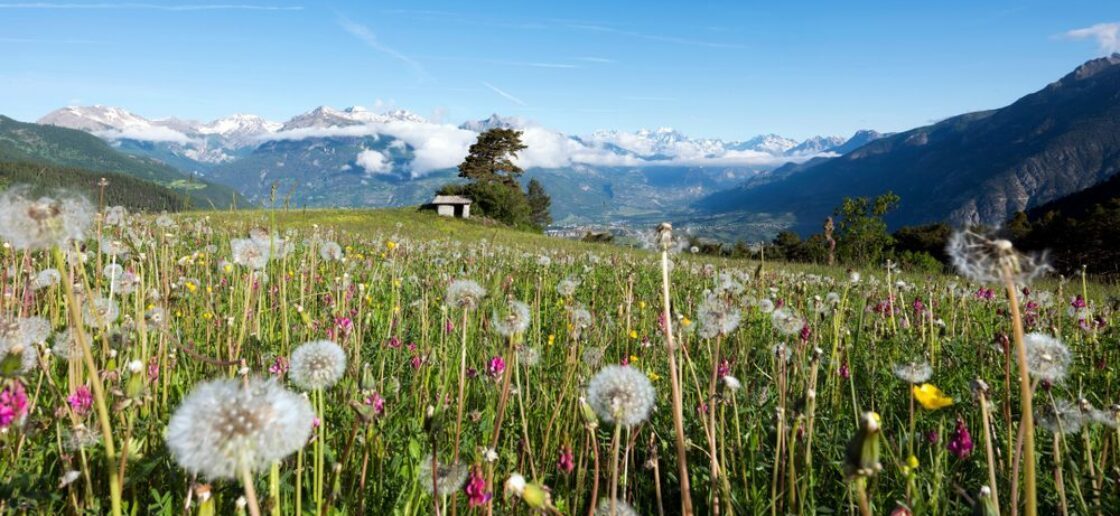 Une randonnée pour découvrir la ligne de crêtes et même voir le mont Blanc
