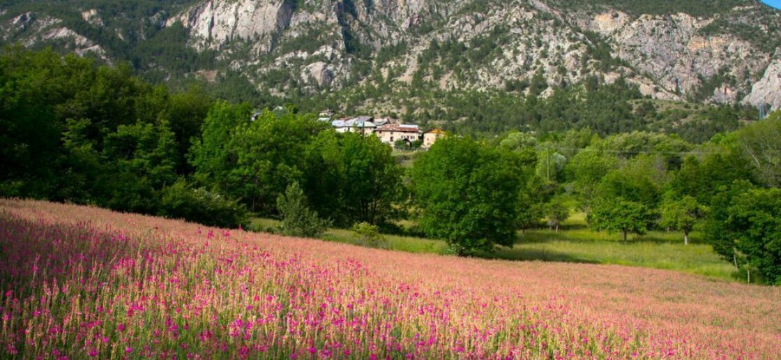 Le chemin des villages permet de découvrir le massif des écrins, sa faune et sa flore
