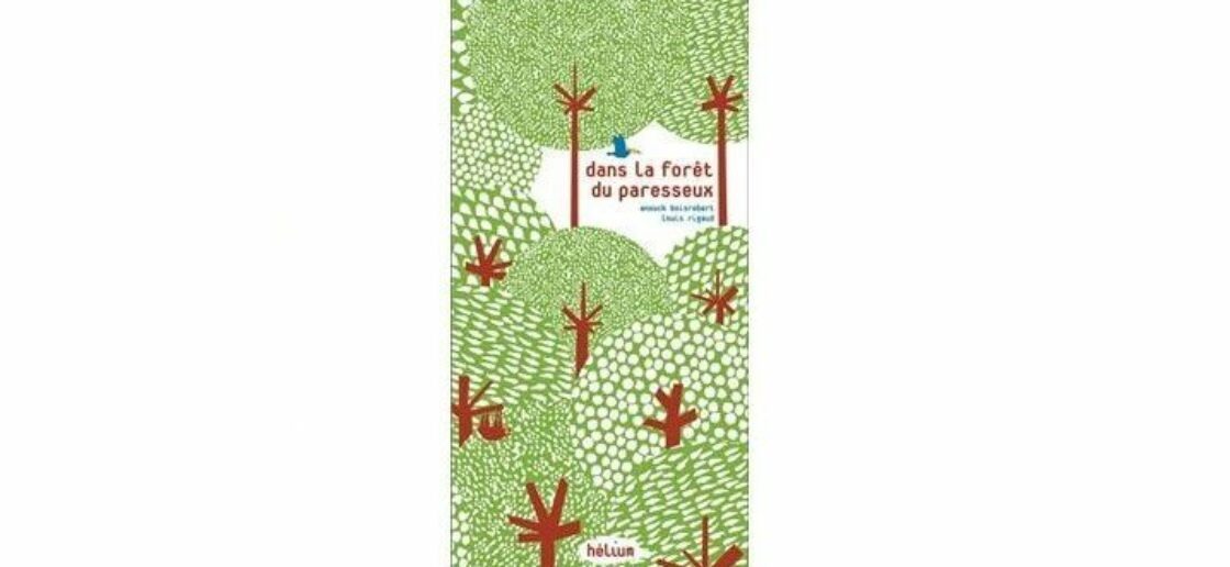 Plongez au coeur de la forêt amazonienne !
