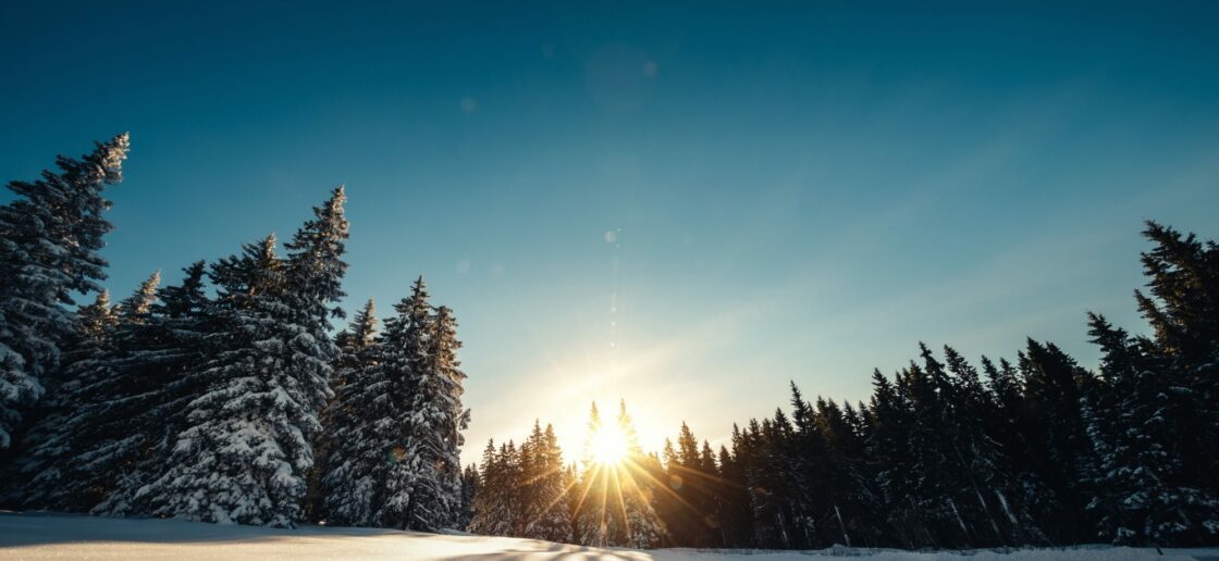 Pendant les vacances de Noël a lieu le solstice d’hiver !
