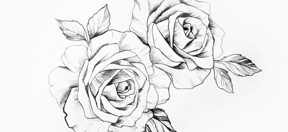Imprimez cette rose à colorier à vos enfants !
