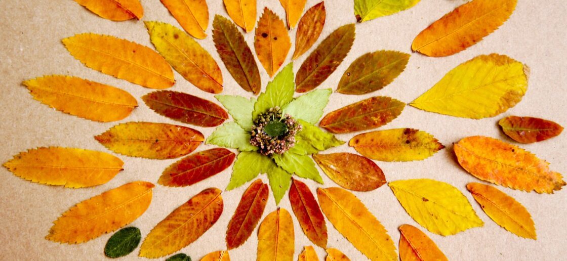 Un mandala d’automne
