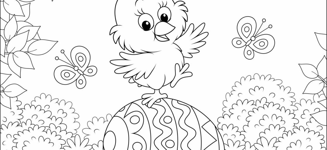 Un poussin bien téméraire !
