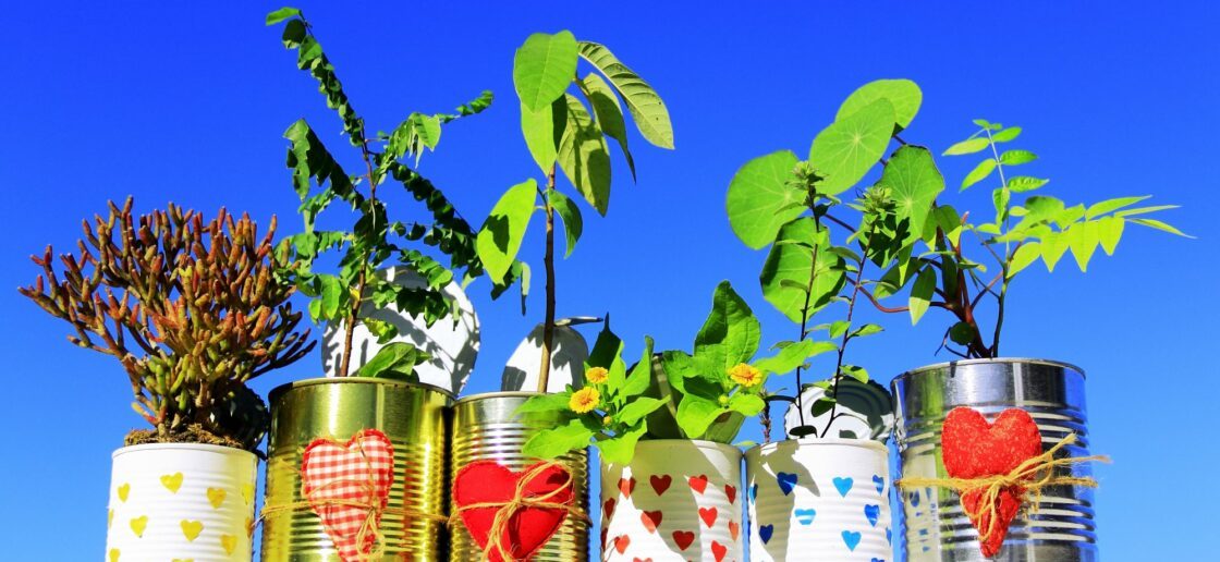 Des boîtes de conserves recyclées ET originales !
