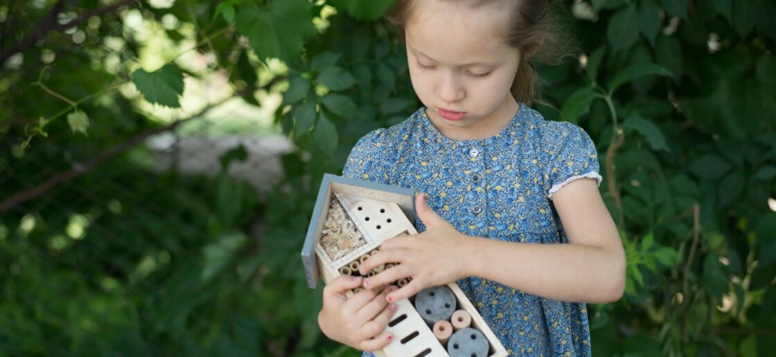 Pour contribuer à protéger la biodiversité au quotidien, n’hésitez pas à installez un hôtel à insectes. 
