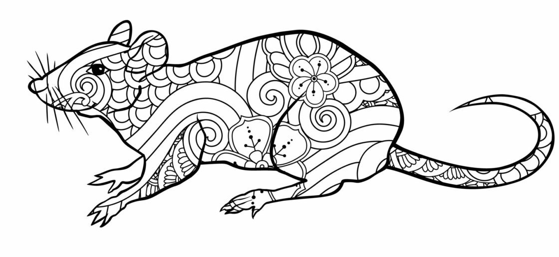 Une souris « mandala ».
