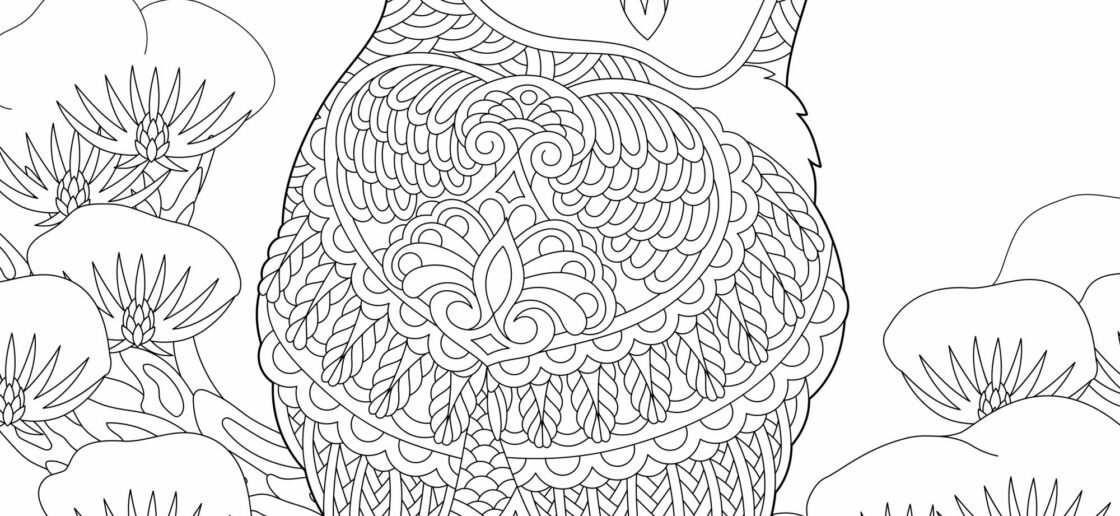 Chouette, le coloriage chouette à imprimer !
