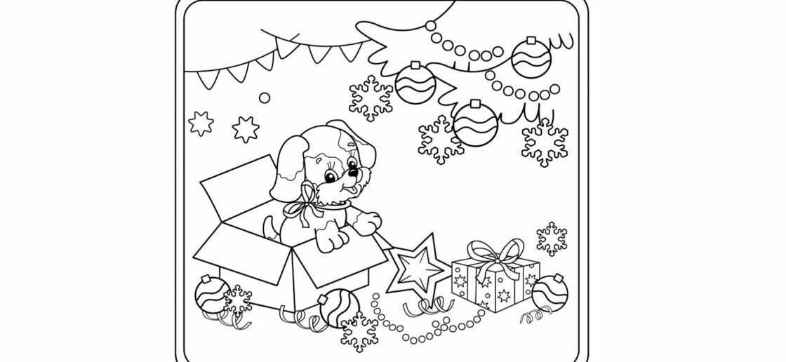 Eco-loriage : un cadeau à mettre sous le sapin