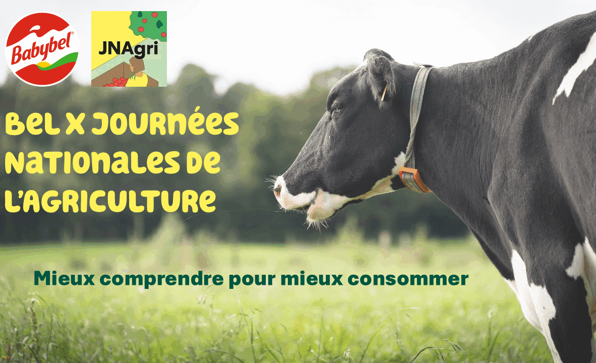 Venez découvrir la fabrication du Babybel® ! #JNAgri